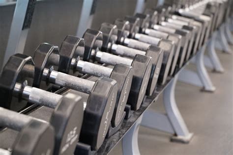 weights  gym