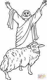 Agnello Sacrifice Sheep sketch template