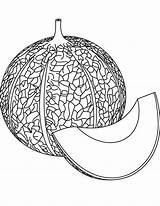 Coloring Pages Melon Cantaloupe Template sketch template