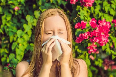 las  alergias mas comunes causas sintomas  tratamiento