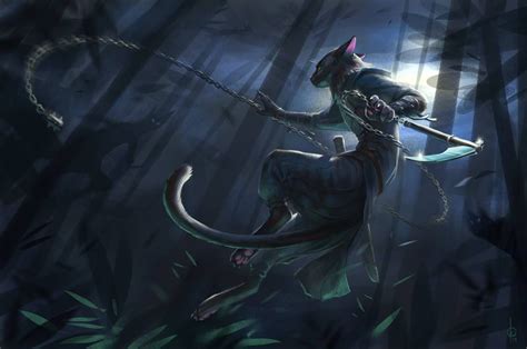 Cdc Cat Ninja By Angevere Concept Art Characters