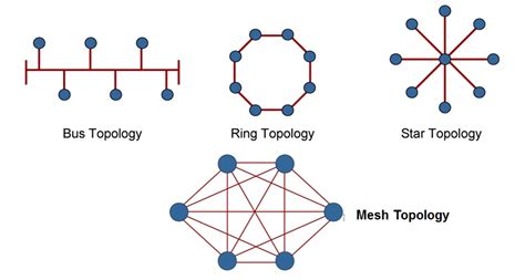 ccna review networking topology