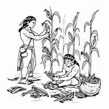 Culturas Agricultura Mayas Personas Ninos Juegosinfantiles Bosquedefantasias Pelota Jugador sketch template