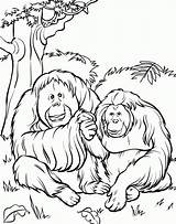 Zoo Coloring Pages Printable Kids Animals Animal Book sketch template