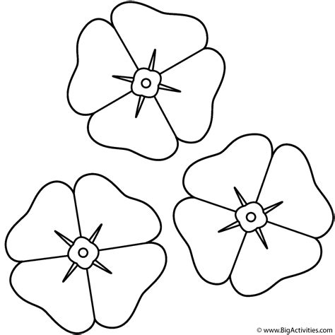 poppies coloring page remembrance day