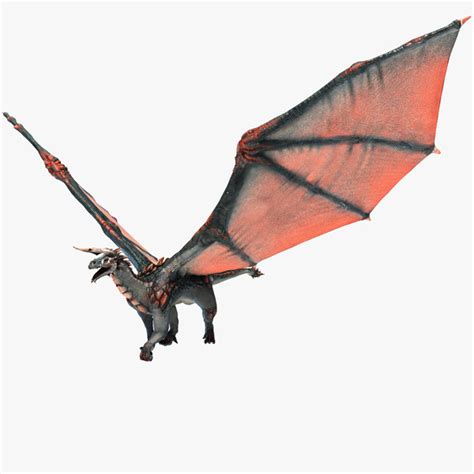realistic dragon pictures clipart