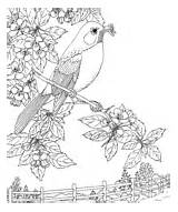 Coloring Robin Bird Pages State Printable Birds Michigan Flower American Adult Apple Robins Blossom Kids Sheets Print Color Supercoloring Printables sketch template