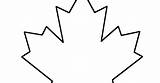 Leaf Maple Canadian Outline Drawing Coloring Printable Vector Pages sketch template