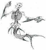 Mermaid Skeleton Spades Dressed Drawing Deviantart sketch template