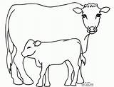 Cow Coloring Pages Dairy Calf Kids Printable Drawing Angus Cartoon Popular Coloringhome Getdrawings Comments sketch template