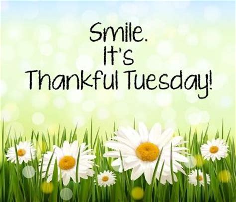 smile  thankful tuesday pictures   images  facebook