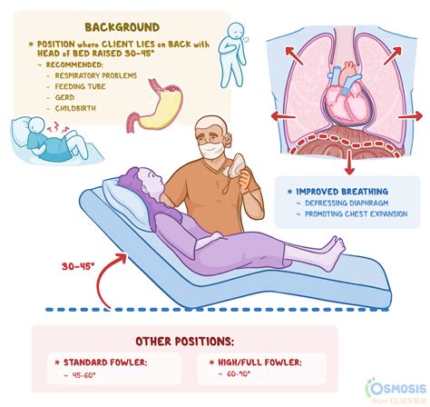 semi fowler position    difference  fowler   osmosis