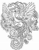 Coloring Pages Peacock Drawing Flowers Outline Peacocks Birds Printable Mindful Getdrawings sketch template