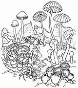 Coloring Mushroom Pages Trippy Psychedelic Popular sketch template