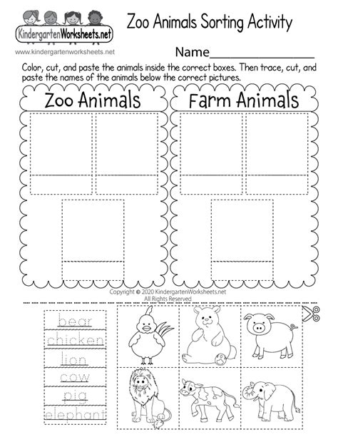 zoo animals sorting activity worksheet  printable digital