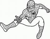Coloring Pages Spider Man Colorine sketch template