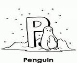 Coloring Pages Animal Alphabet Penguin Online Printable sketch template