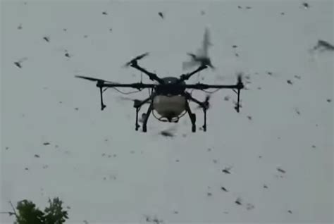 locust drones drone   specializing  real estate