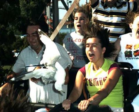 the 100 funniest roller coaster photos of all time part