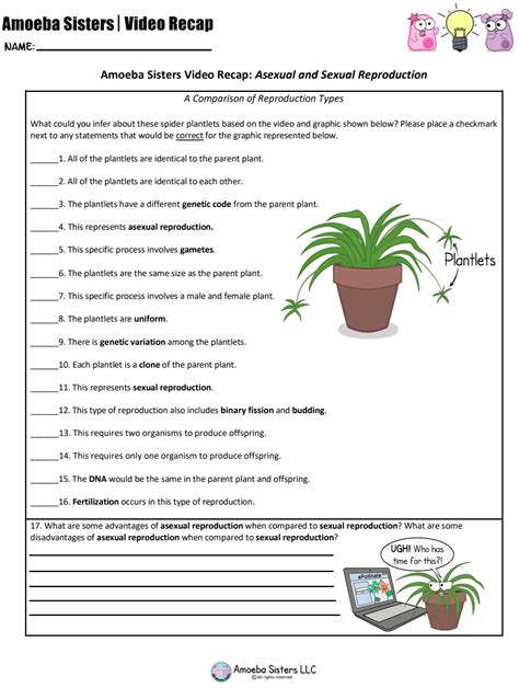 Asexual Reproduction Worksheet 7th Grade Answer Key