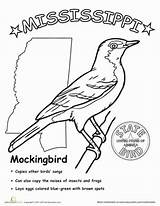 Mississippi State Bird Coloring Worksheet Worksheets Education Color sketch template