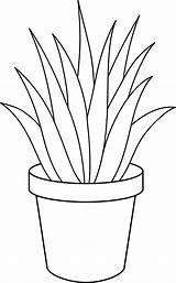 Plants Plant Aloe Vera Pot Line Drawing Clipart Clip Potted Cliparts Coloring Drawings Pages Flower Indoor Clipground Para Sweetclipart Plantas sketch template