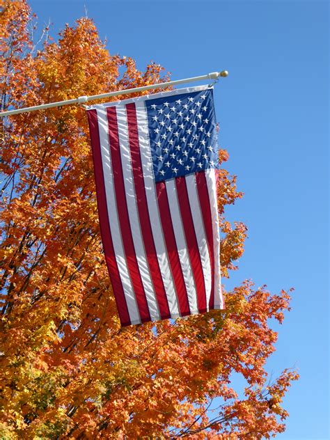 american flag  autumn tree  stock photo public domain pictures