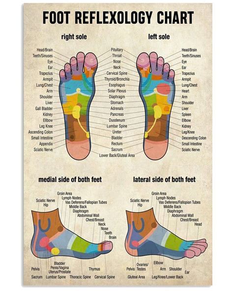 Massage Therapist Foot Reflexology Chart Vertical Poster Etsy In 2021