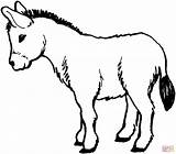 Esel Ausmalbild Donkey sketch template