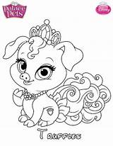 Truffles Colorear Mascota Mascotas Dibujalandia Kleurplaat Princesa Prinses Persoonlijke Drukuj Malvorlage Gcssi Erstellen sketch template