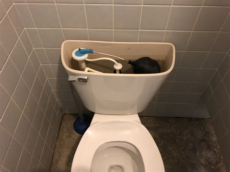toilet  ghost flushing