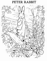 Rabbit Coloring Peter Pages Potter Beatrix Colouring Printables Printable Print Kids Sheets Friends Color Easter Gardening Robinson Dolores Designs Books sketch template