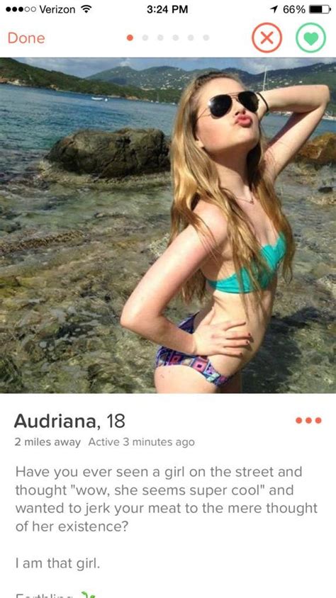 the best worst profiles and conversations in the tinder universe 16