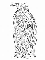 Pages Coloring Penguin Zentangle Adults Printable Adult sketch template