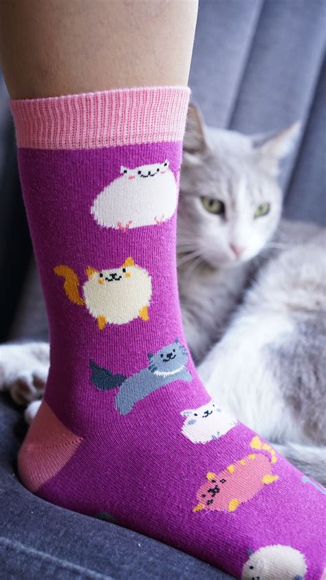 Women S Fatty Cats Socks Socks N Socks