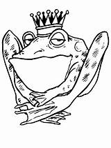 Coloring Pages Frog Frogs Cartoon Animals Clipart Princess Printable Cliparts Snow Clip Library Rana Disegni Popular Ariel Plus Drawings Advertisement sketch template