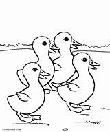 Duck Kaczka Ducklings Druku Ausmalbilder Enten Kolorowanki Kolorowanka Ducks Ente Dziwaczka Cool2bkids Ptica Bojanke Ptice Patka Kindergarten sketch template