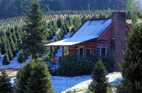 romantic log cabin rental   north carolina smoky mountains  asheville christmas