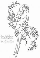 Macaw Pattern Outline Simplifying Lsirish Patterns Carving Wood Easy Pyrography Areas Into Relief sketch template
