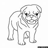 Pug Coloring Pages Puppy Dogs Pugs Cute Baby Puppies Thecolor Dog Line Colouring Outline Color Sheets Drawing Animals Bulldog French sketch template