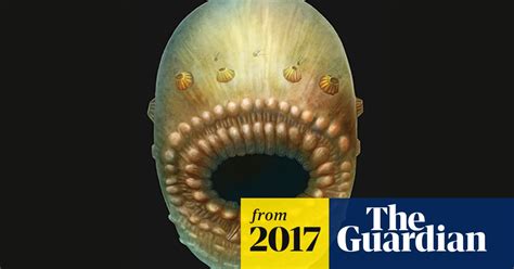 a huge mouth and no anus this could be our earliest known ancestor
