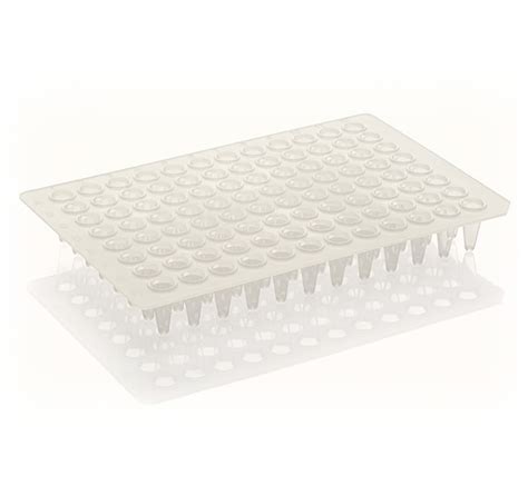 pcr plate    profile  skirted