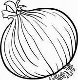 Onion Coloring Onions Clipart Pages Cartoon Vegetable Printable Illustration Para Kids Clip Stock Colorear Book Vector Root Cebolla Color Drawing sketch template