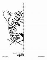 Symmetry Worksheets Drawing Kids Worksheet Cat Half Coloring Pages Grid Hub Face Easy Tiger Leopard School Cheetah Line Sheets Peru sketch template