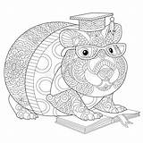 Hamster Zentangle Meerschweinchen Capybara Criceto Coloriage Cavia Livre Vecteur Coloration Cobaye Farbtonseite sketch template
