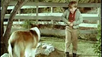lassie episode  youtube