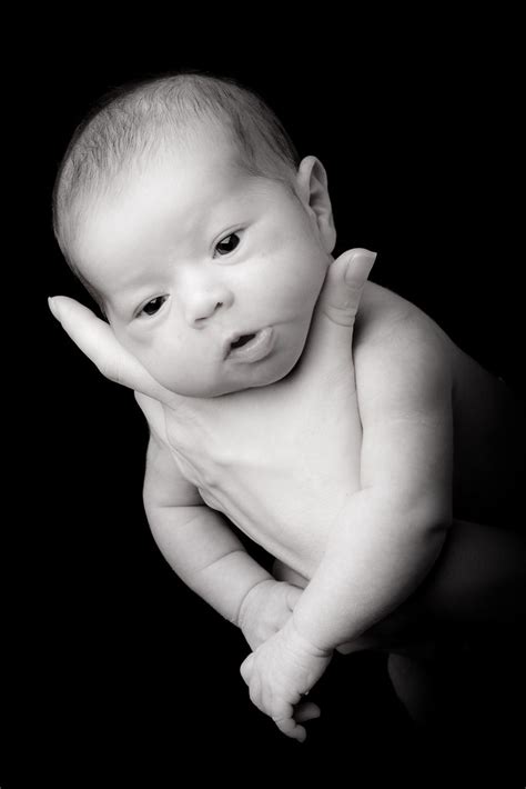 black  white baby portrait  love black  white baby flickr