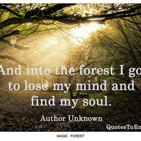 forest    lose  mind  find  soul quotestoenjoy