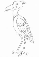 Encanto Shoebill Stork sketch template