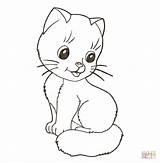 Coloring Pages Kitten Print sketch template